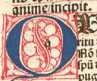 Figura din