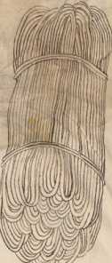 Seile und Ketten (296r)
