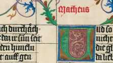 Rankeninitiale U

