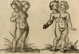 Figura da