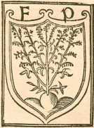 Figura de