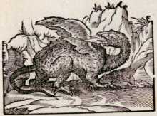 Vom Drachen. (33)
