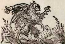 Von dem Greiffen. (169)
