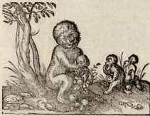Von dem Affen. (187)
