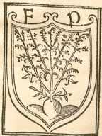 Figura de