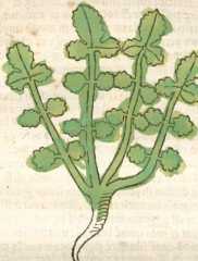 Figura de