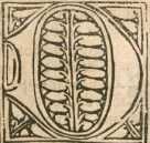 Textanfang (1)
 from