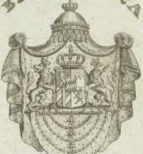 Vorderer Spiegel aus