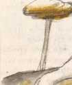 Miniatur 49
