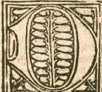 Textanfang (1)
 from