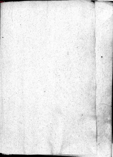 Rückwärtiger Spiegel de