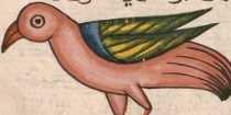Miniatur 286: Taube from