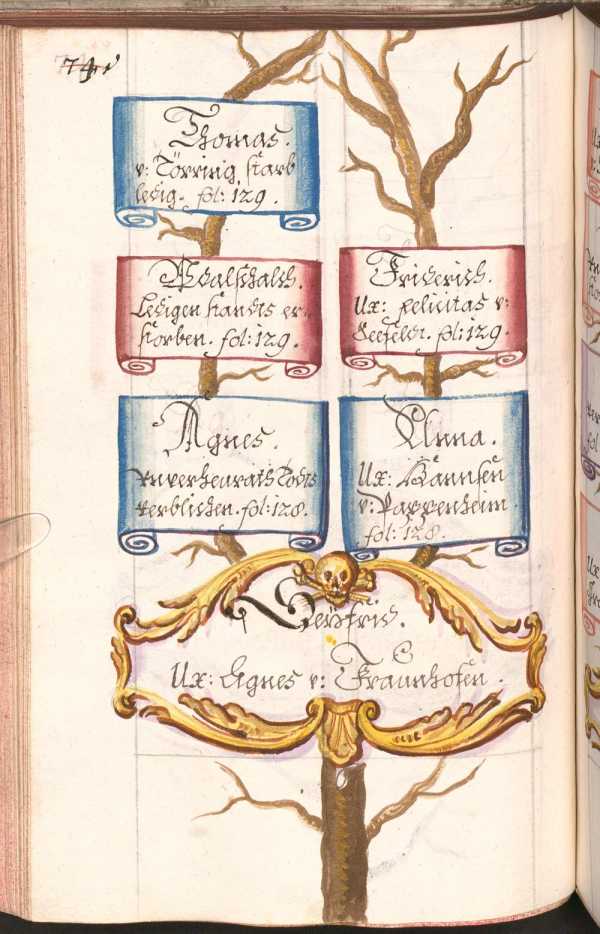 Kolorierter Stammbaum: Seyfried ux. Agnes ... de
