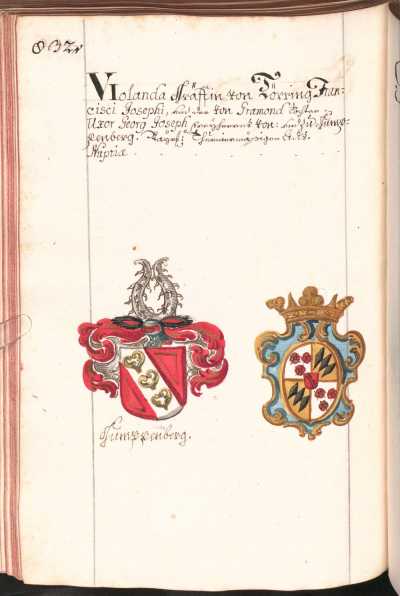 Kolorierte IIlustration Wappen Gumppenberg, Törring ... da