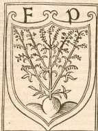 Figura de
