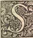 [Bl. 103r - 104v]P. Augustinus ... from