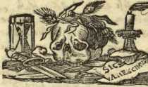 [Bl. 101r - 101v]P. Wolfgangus ... aus
