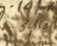 [Bl. 268v - 270r]Elenchus Defunctoru[m] ...