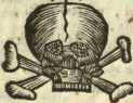 [Bl. 174r - 175v] P. ... aus