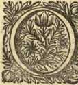 [Bl. 21r - 21v]P. Hermannus Neidhart (Sp...