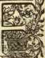 [Bl. 80r - 80v]P. Romanus Cavallar (Nied...
