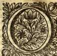 [Bl. 97r - 97v]P. Joannes Nepomucenus Ba...