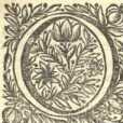 [Bl. 100r - 101v]P. Edmundus Elb (Speins...