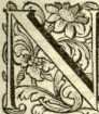 [Bl. 117r - 118v]Fr. Nicolaus Fesenmayr ...