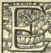 [Bl. 119r - 120v]P. Joannes Evangelista ...