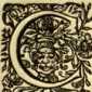 [Bl. 130r - 131v]P. Gamulbertus Dirmayr ...