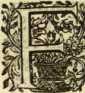 [Bl. 135r - 135v]Fr. Birminius Dobiaschu...