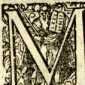 [Bl. 153r - 153v]Fr. Otto Finck (Weißen...