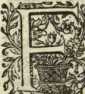 [Bl. 176r - 176v]P. Julius de Hayden (Ni...