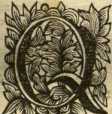 [Bl. 231r - 231v]P. Anselmus Rieger (And...