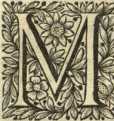[Bl. 234r - 234v]P. Benedictus Stöckhl ...