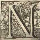 [Bl. 248r - 249v]P. Franciscus Freudenen...