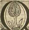[Bl. 98r - 99v]P. Wilhelmus Elb (Speinsh...