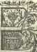 [Bl. 58r - 58v]P. Benedictus Grindl (Obe...