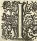 [Bl. 3r - 3v]P. Januarius Gschwendner (A...