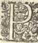[Bl. 16r - 17v]P. Patritius de Heydon (R...