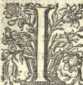 [Bl. 49r - 49v]P. Michael Anfang (Regens...