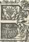 [Bl. 62r - 62v]P. Bernardus Fridl (Reich...