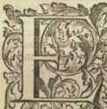 [Bl. 69r - 69v]P. Bernardus Schallhammer...