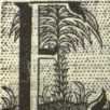 [Bl. 184r - 184v]P. Maurus Luz (Wessobru...