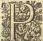 [Bl. 216r - 216v]P. Emmeramus Todtveille...