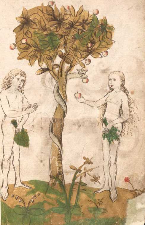 Adam und Eva unter dem Baum der Erkenntn...