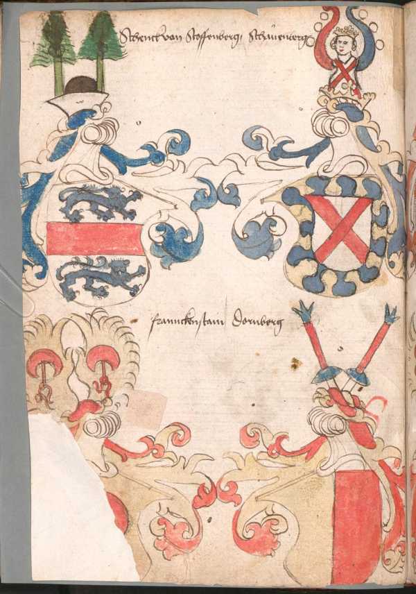 Wappen Schenck von Stauffenberg, Schauen...