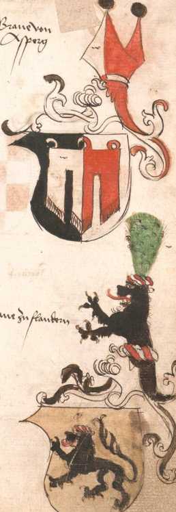 Wappen Graf von Asper u.a. (160r)
