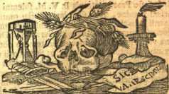 [Bl. 31r - 31v] P. ... aus