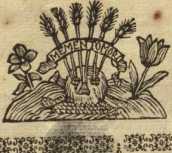 [Bl. 431r - 431v] P. ... din